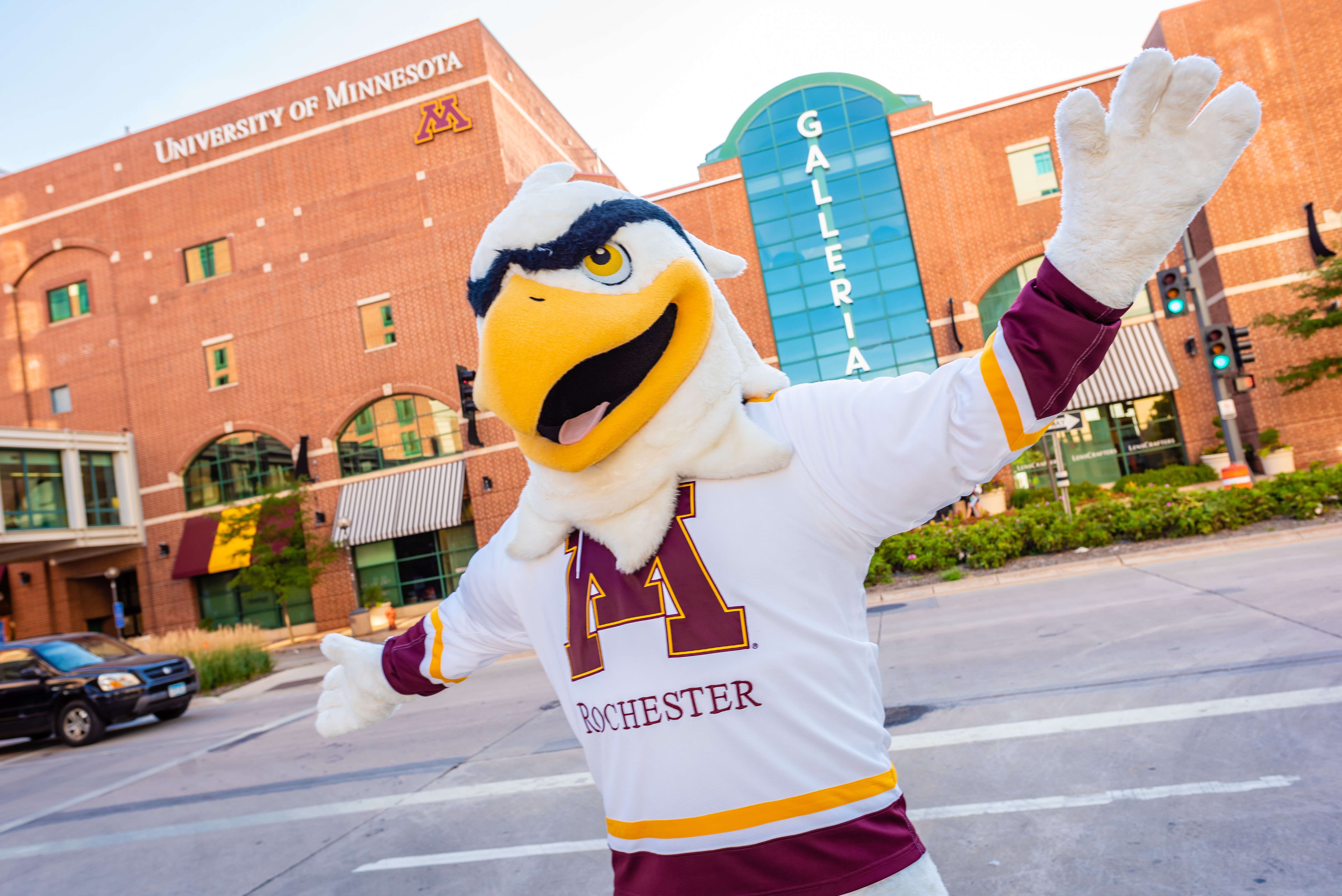 University of Minnesota Rochester Raptor mascot